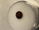 Zirkon mørk rød 1,45 ct og 6,6 i diameter thumbnail