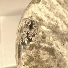 Amonitt blekksprut type Cleoniceras  thumbnail