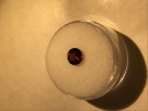 Zirkon med fantastisk rød mot orange farge diameter ø 6mm 1,2 ct thumbnail
