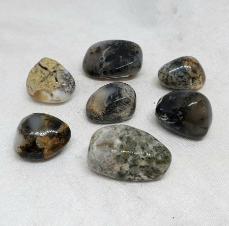 Opal dendritt