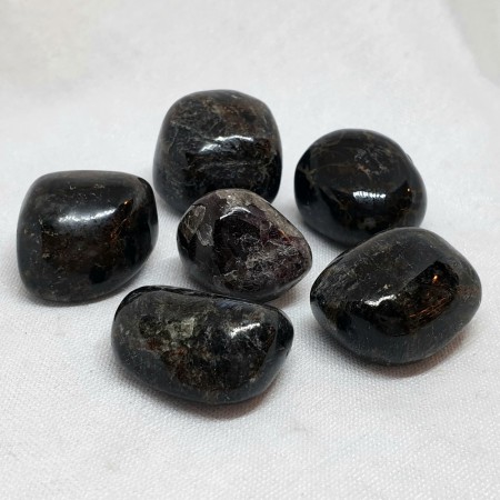 Astrophylitt